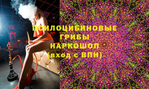 бошки Абаза