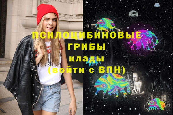 бошки Абаза