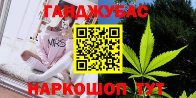 индика Новокубанск