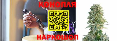 индика Новокубанск